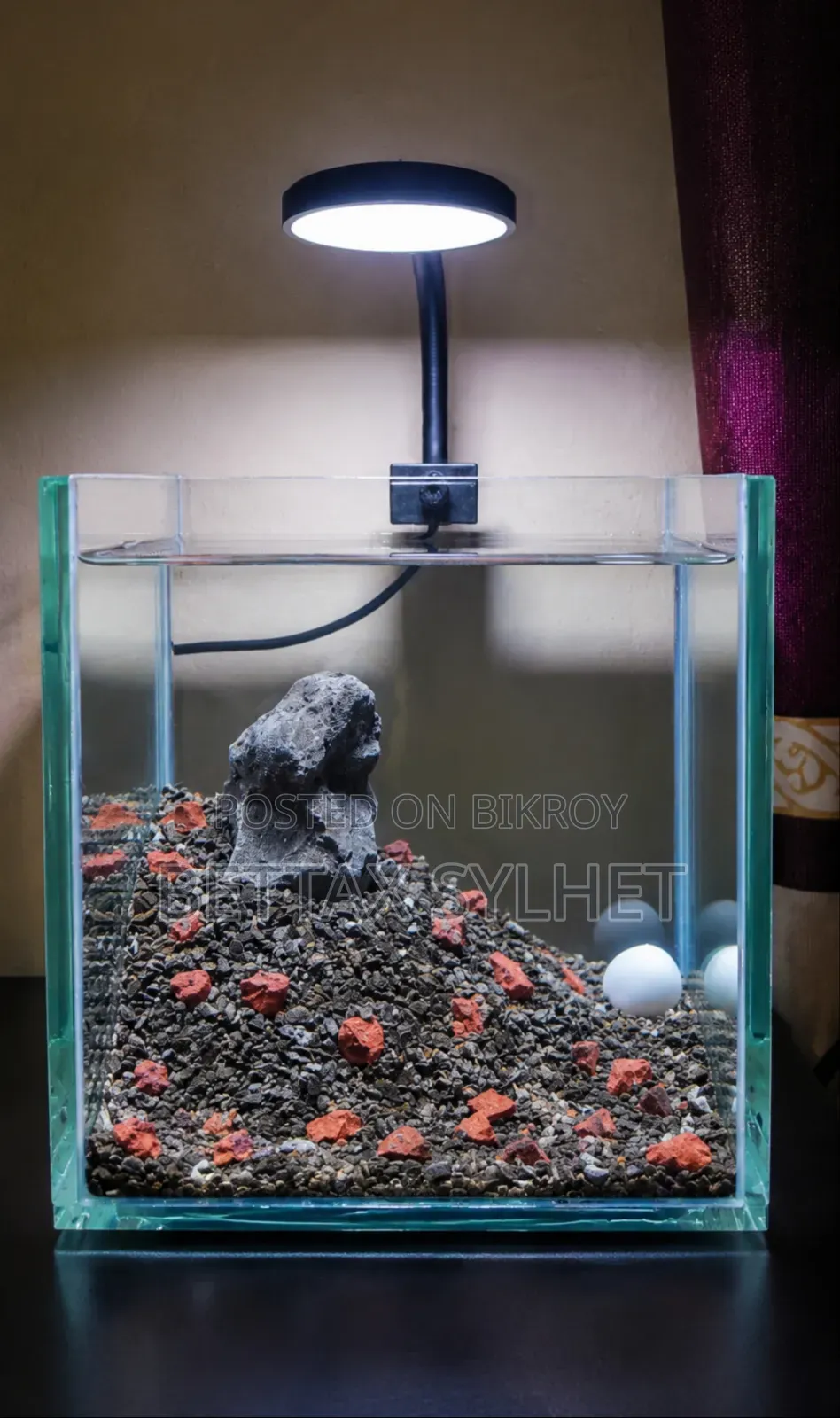 Desktop Betta Tank