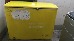 Electar Fridge