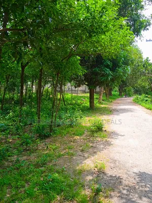 105 Decimal Hill-Type Garden Land for Sale in Kaliganj