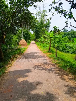 105 Decimal Hill-Type Garden Land for Sale in Kaliganj