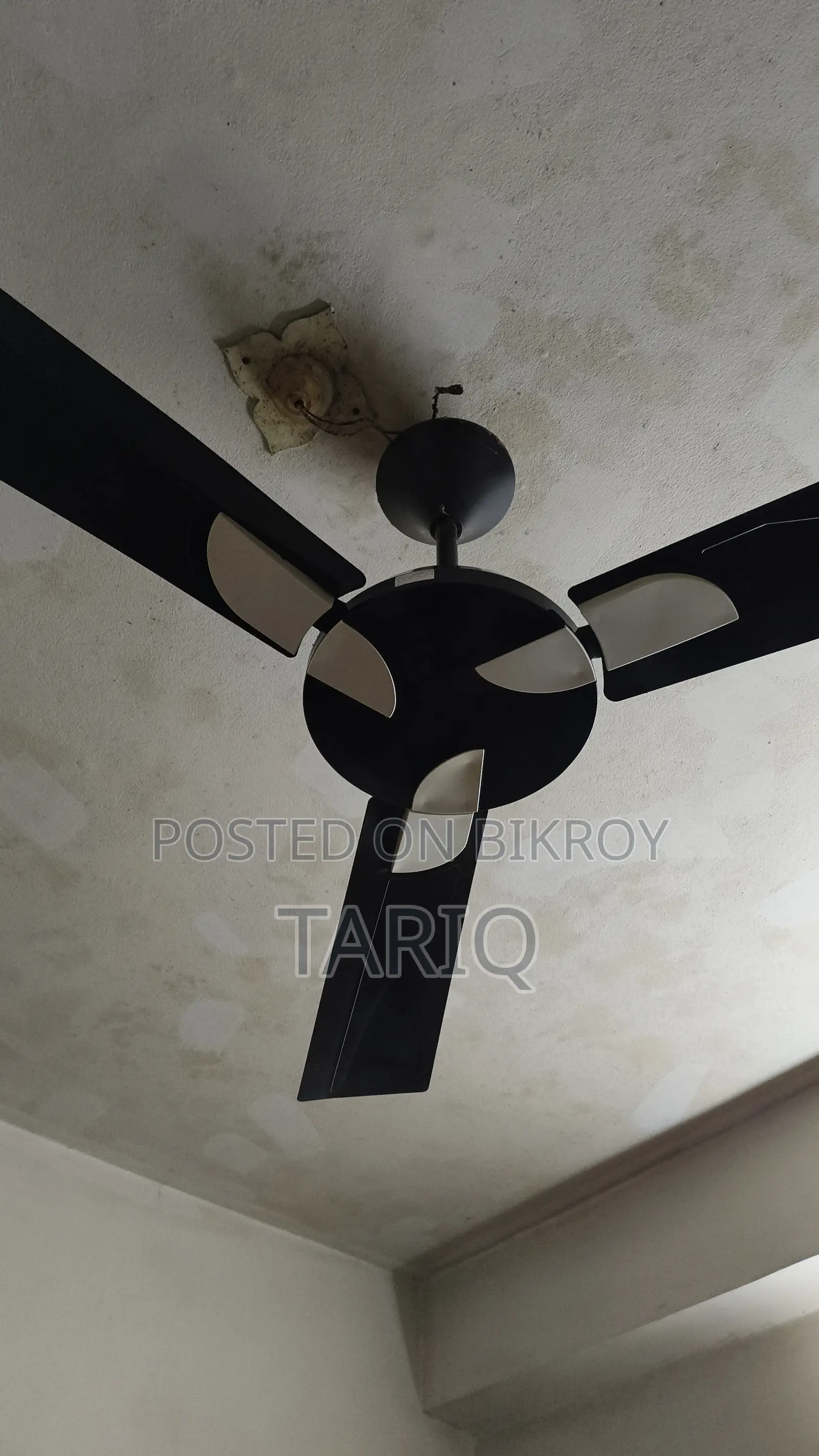 নতুন সিলিং ফ্যান