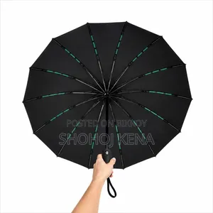 Bmw Umbrella 16 Rib