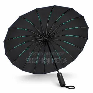 Bmw Umbrella 16 Rib