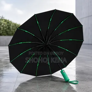 Bmw Umbrella 12 Rib