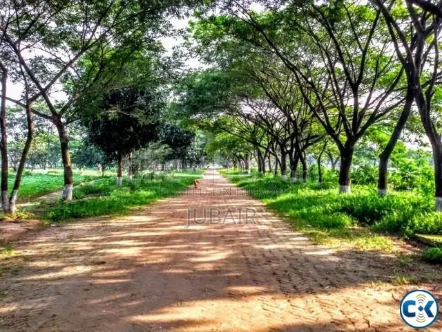 3.5 Katha South Facing Plot