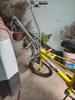 Raleigh Chopper Attractive Bicycle for Sale!