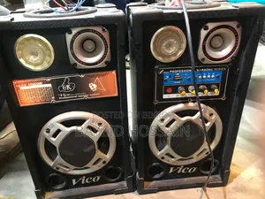 Dj Professional Speaker