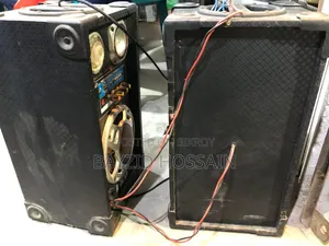Dj Professional Speaker