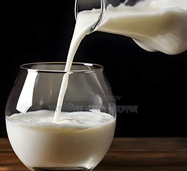 দেশি গাভীর খাঁটি দুধ