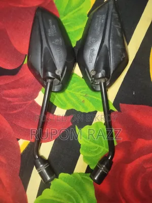 FZS Version 2 Looking Glass