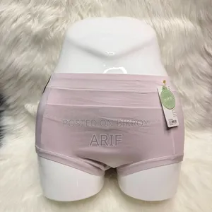 Period Panty