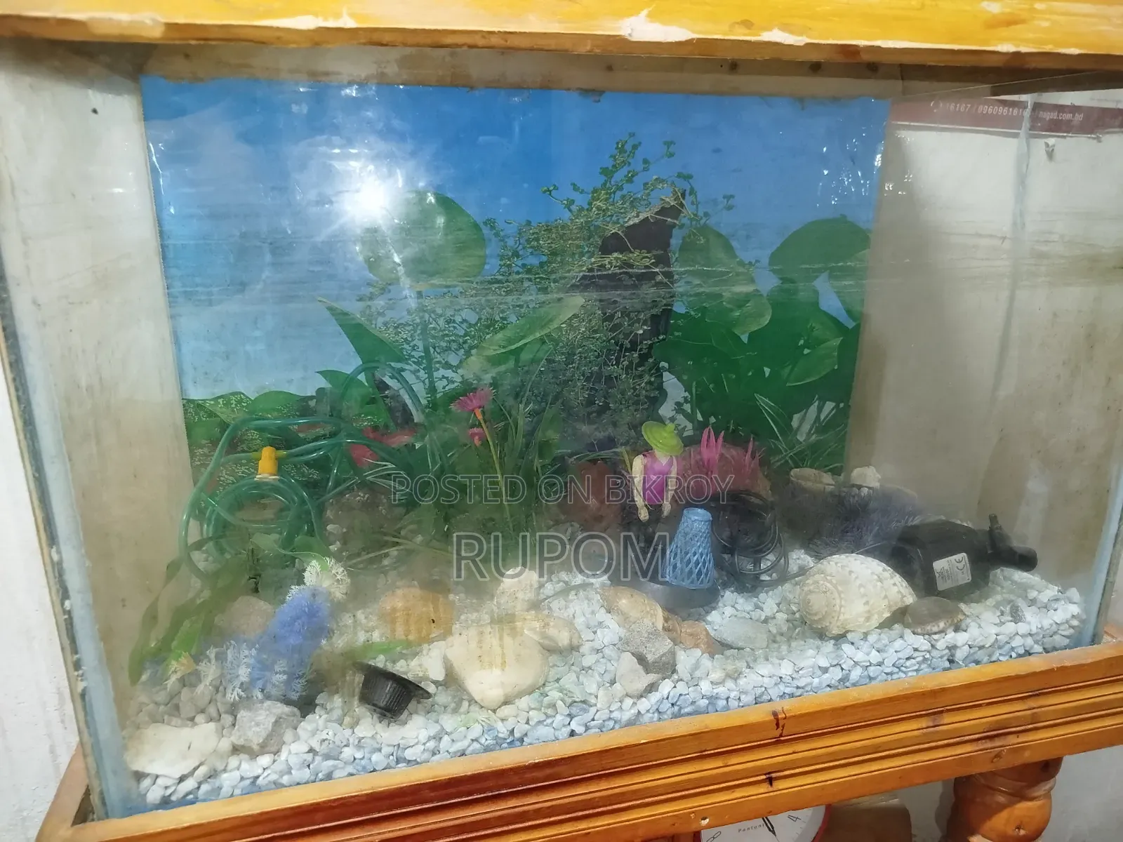 ফিশ অ্যাকুরিয়াম