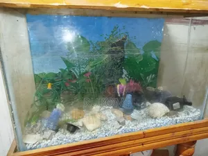 ফিশ অ্যাকুরিয়াম