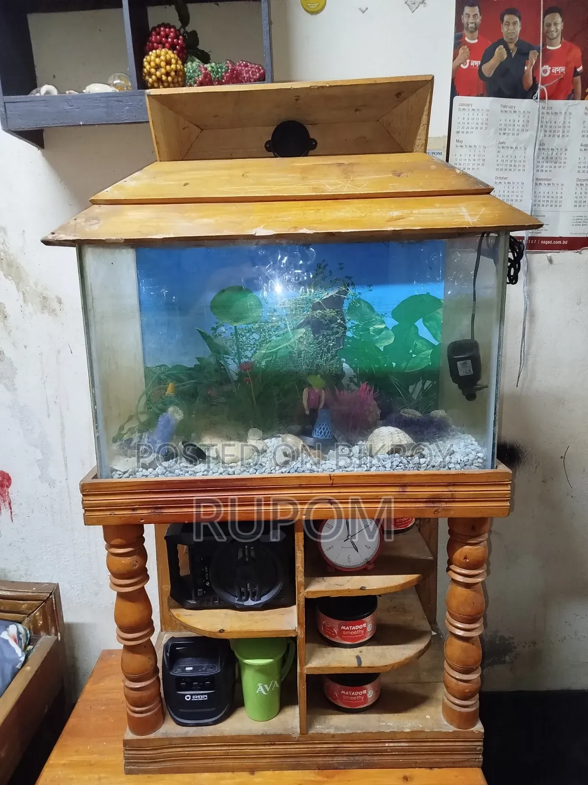 ফিশ অ্যাকুরিয়াম
