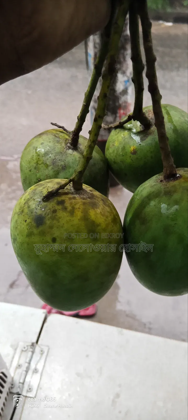 Authentic Himsagar Mangoes from Satkhira