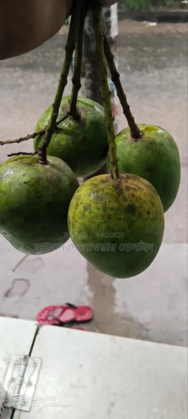 Authentic Himsagar Mangoes from Satkhira
