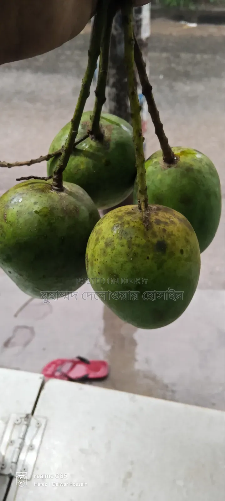 Authentic Himsagar Mangoes from Satkhira
