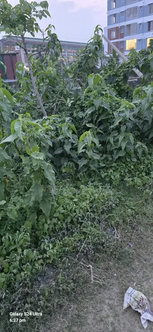 Rajuk Purbachal 40 30' Corner Plot Sell