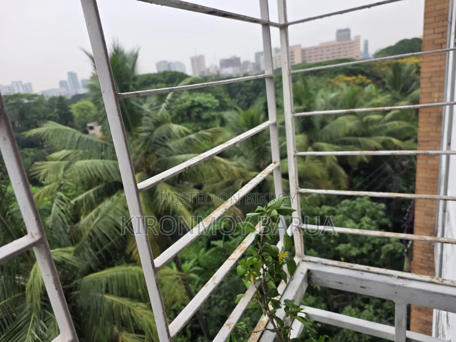 নিকেতন, গুলশানে ৩ বেডরুমের ফার্নিশড অ্যাপার্টমেন্ট ভাড়া হবে
