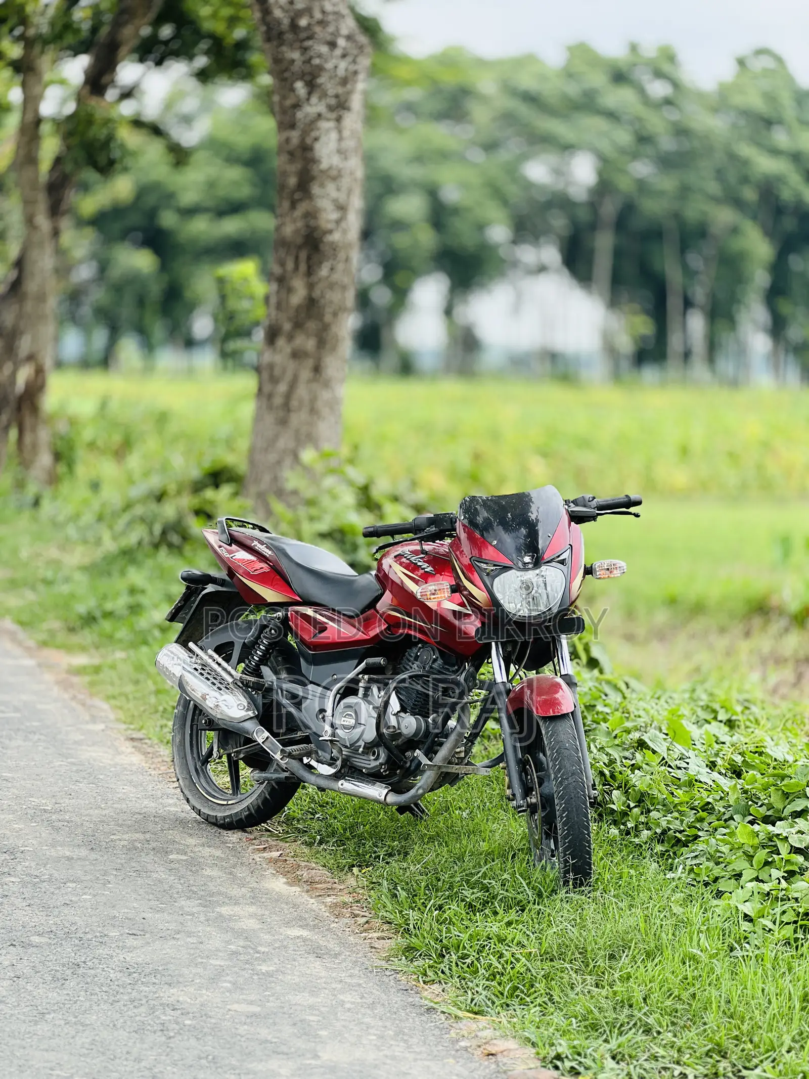 New Bajaj Pulsar 150 2016 Red