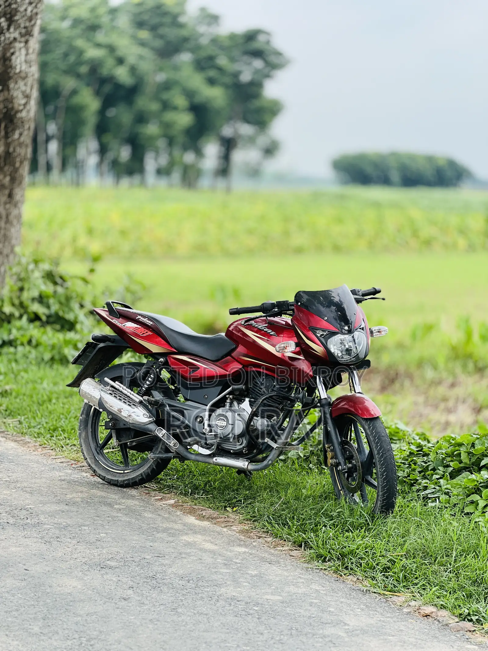 New Bajaj Pulsar 150 2016 Red