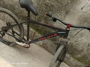 Phoniex Alloy Body - Ready to Ride
