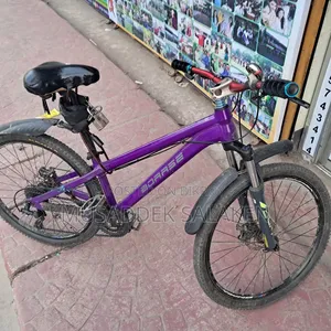 Cycle Frame Purple
