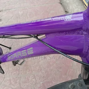 Cycle Frame Purple