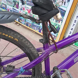 Cycle Frame Purple