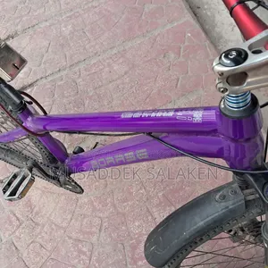 Cycle Frame Purple
