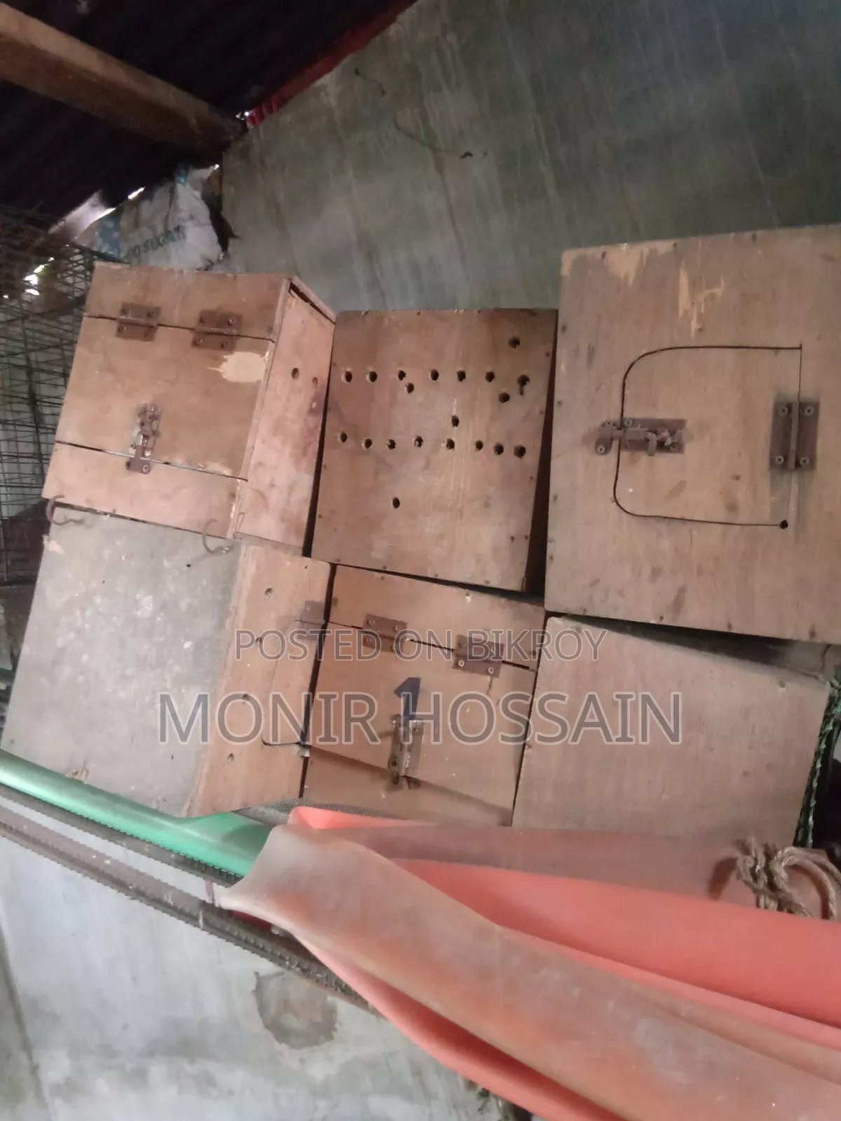 Cockatiel Bird Box (কোকাটেল পাখির কাঠের বাক্স)