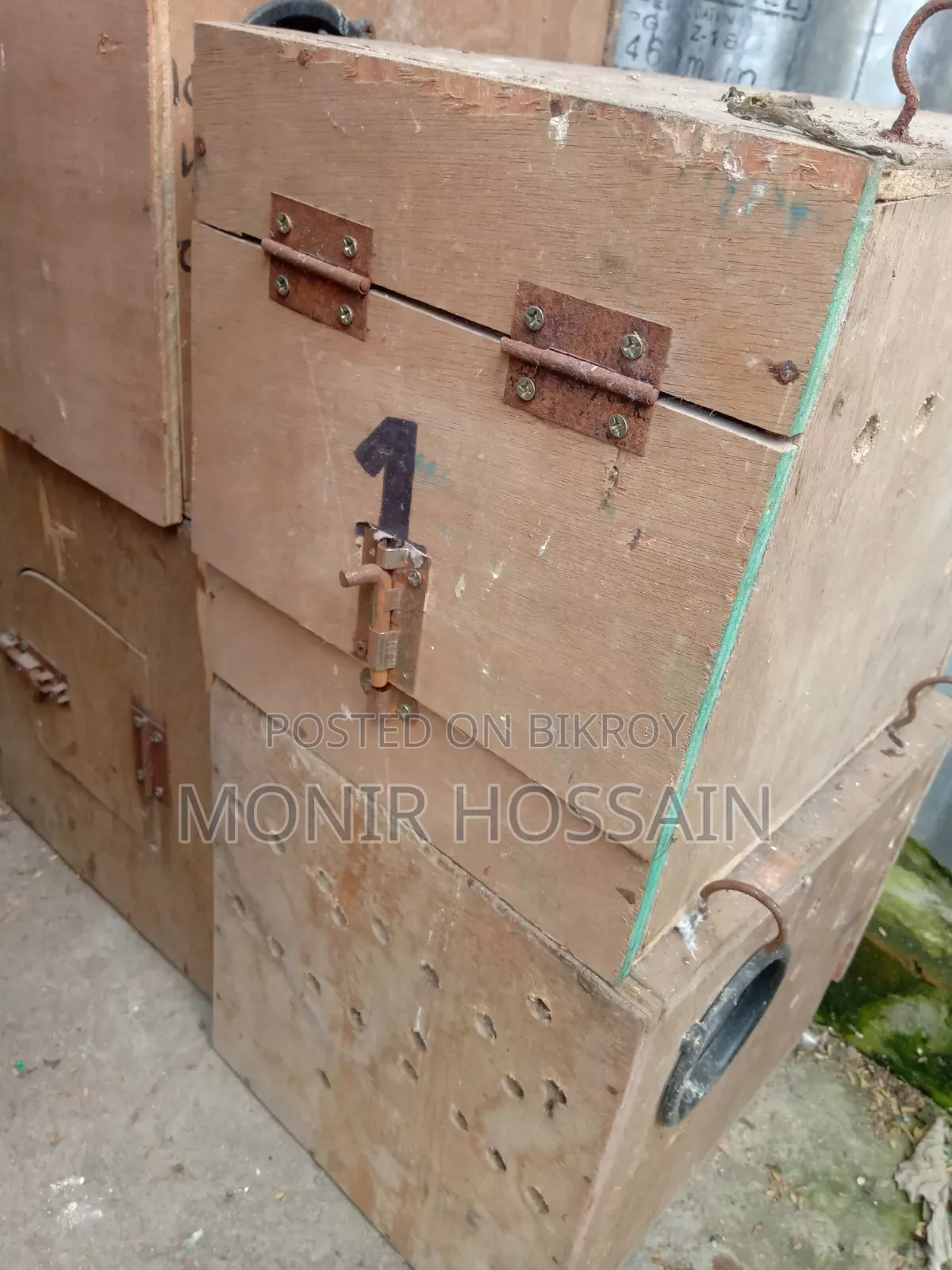 Cockatiel Bird Box (কোকাটেল পাখির কাঠের বাক্স)