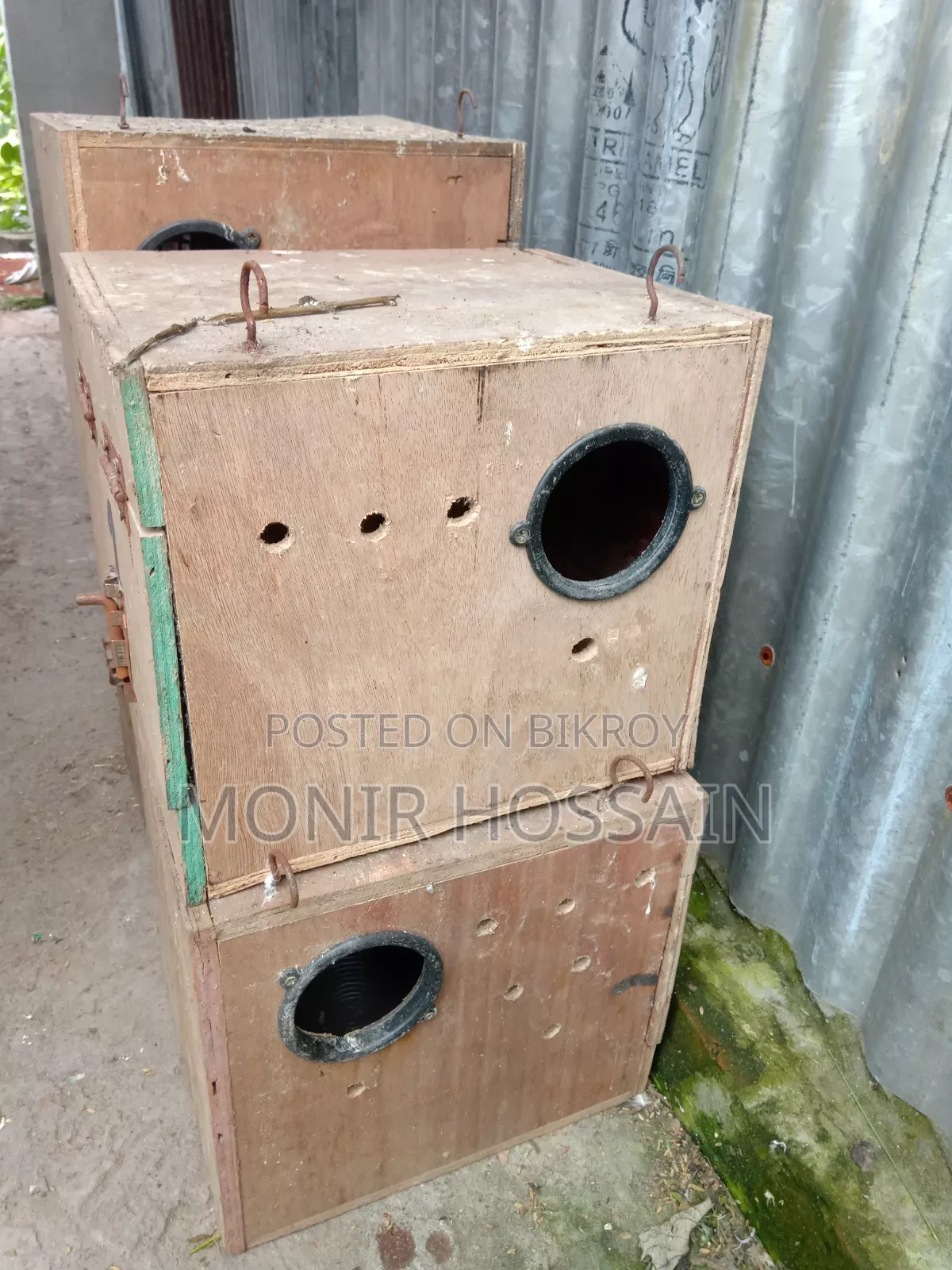 Cockatiel Bird Box (কোকাটেল পাখির কাঠের বাক্স)