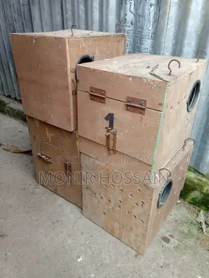 Cockatiel Bird Box (কোকাটেল পাখির কাঠের বাক্স)