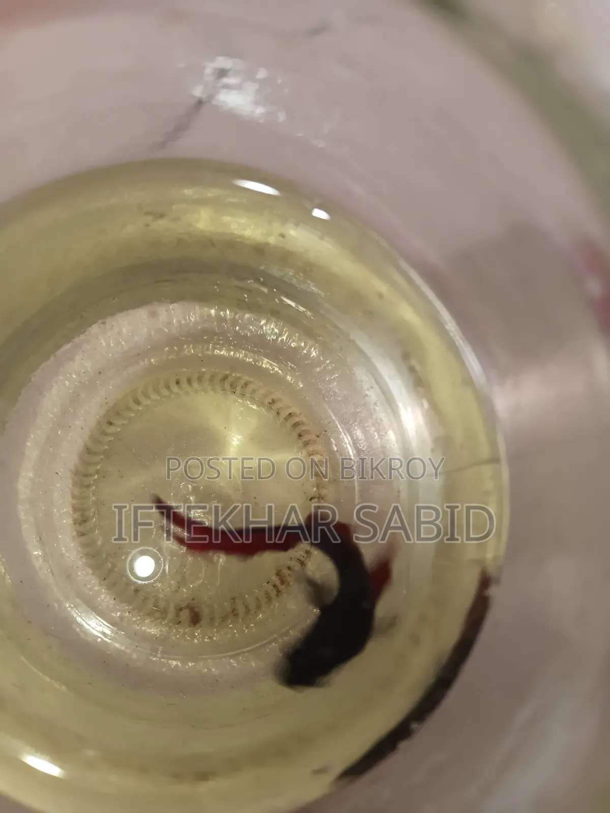 1 Pair Betta + Siso Food
