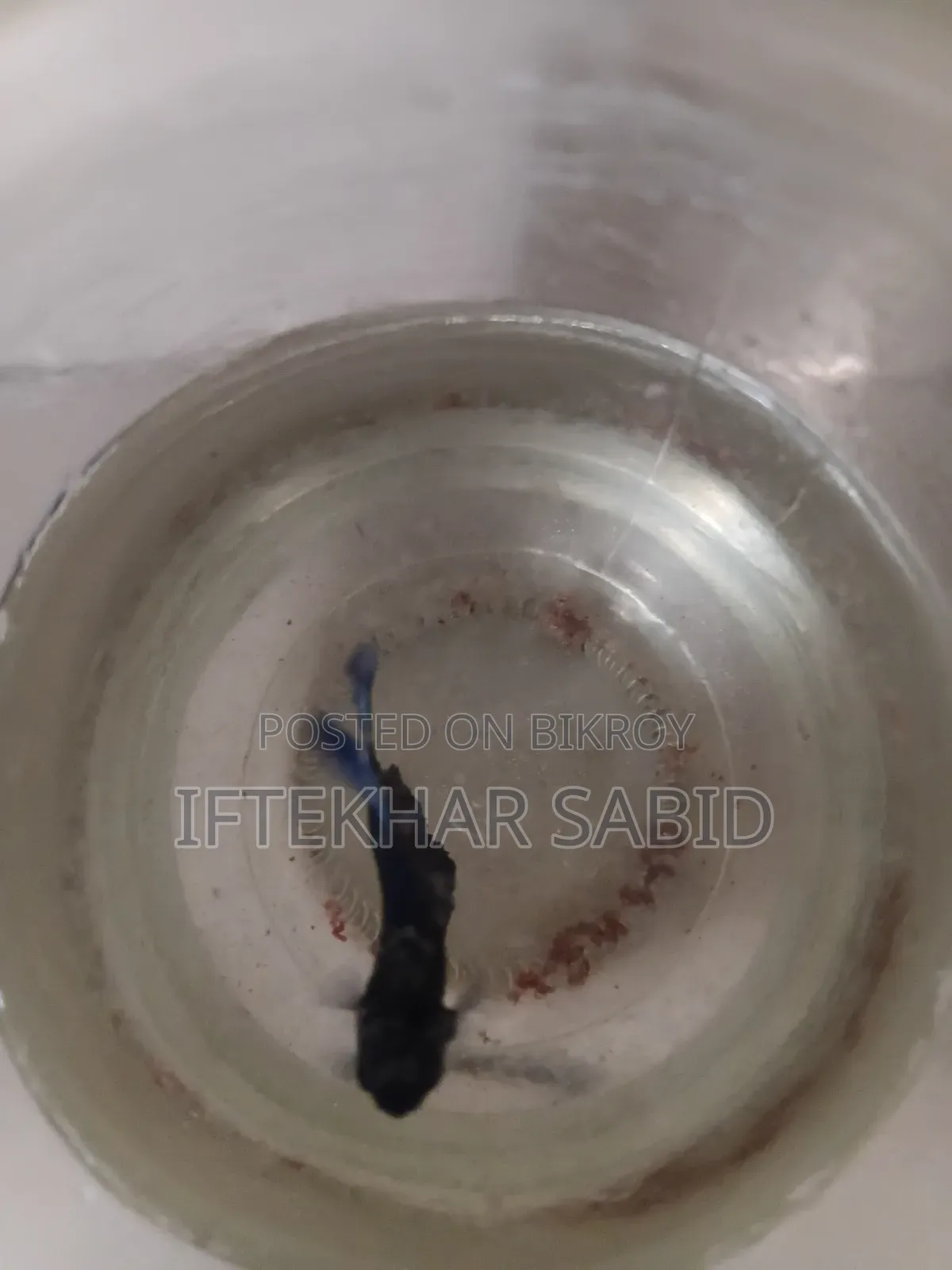 1 Pair Betta + Siso Food