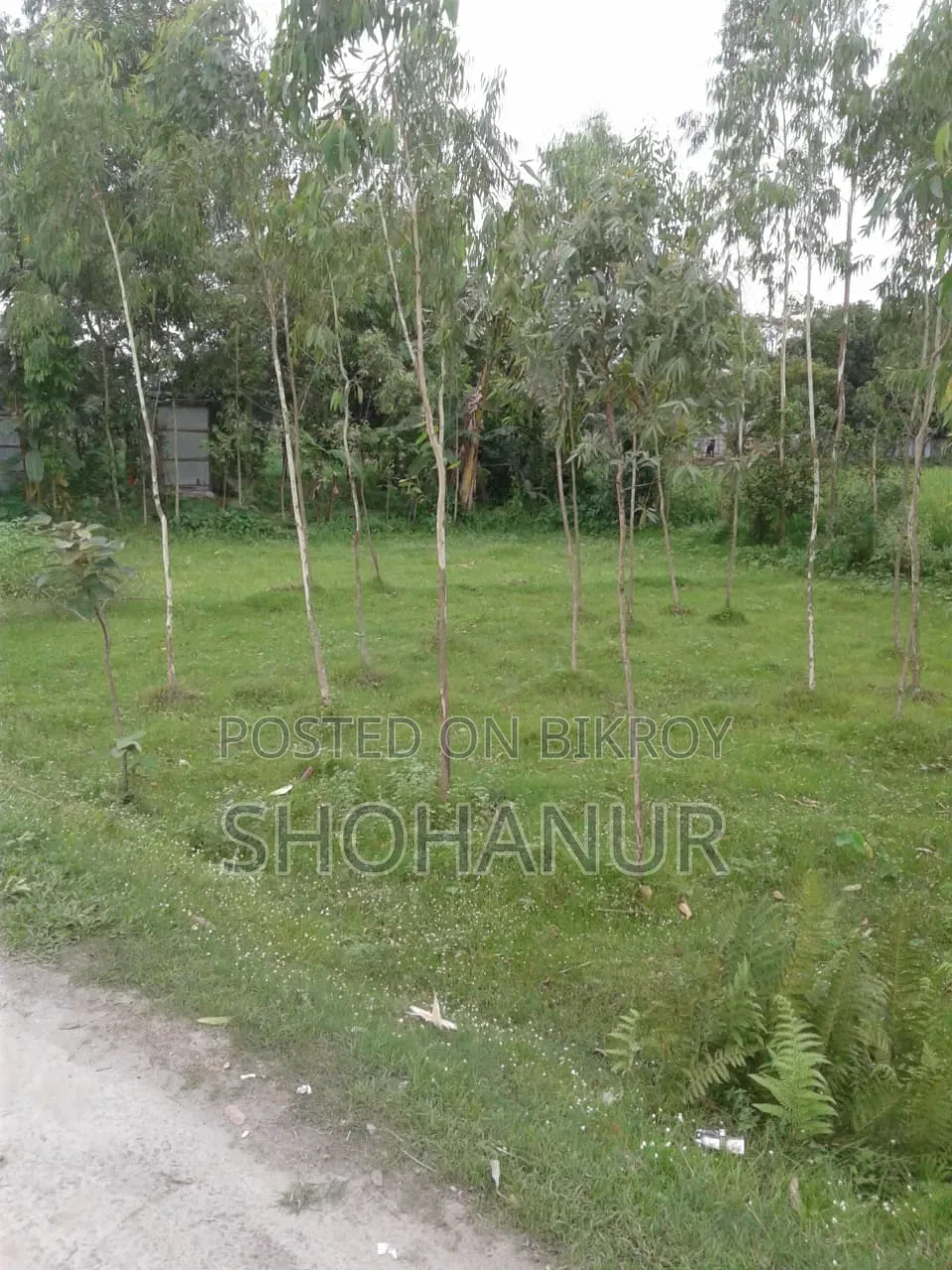 10 (Ten) Decimal Land for Sale