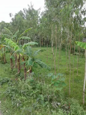 10 (Ten) Decimal Land for Sale