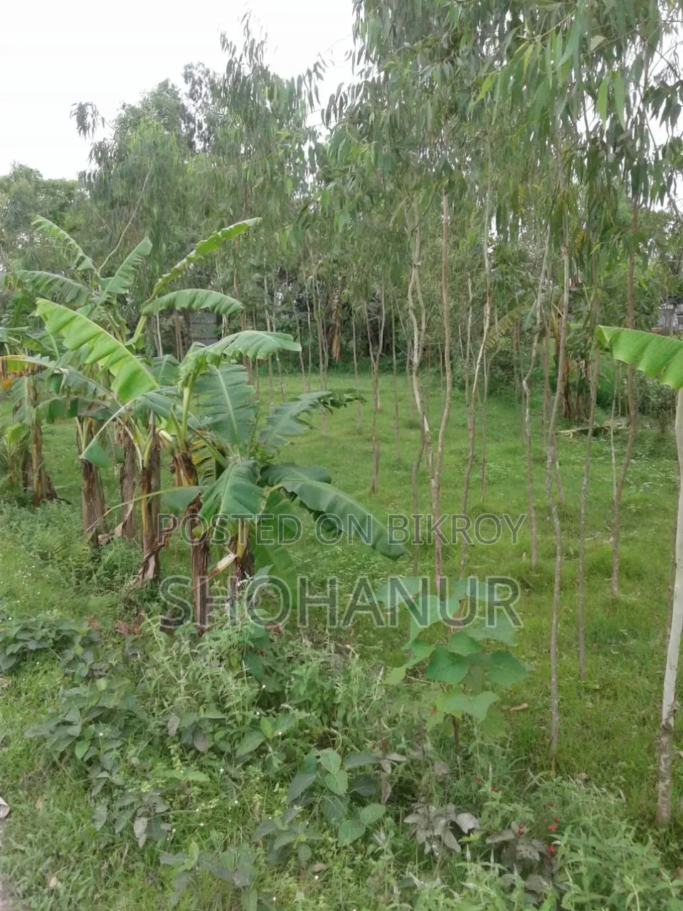 10 (Ten) Decimal Land for Sale