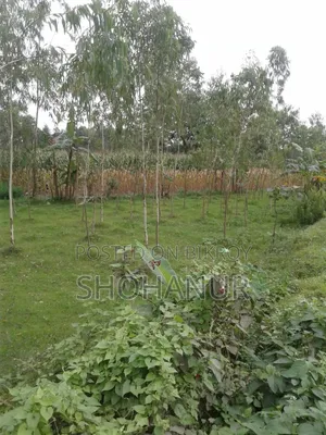 10 (Ten) Decimal Land for Sale