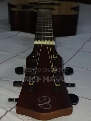 Chard Brand Guitar