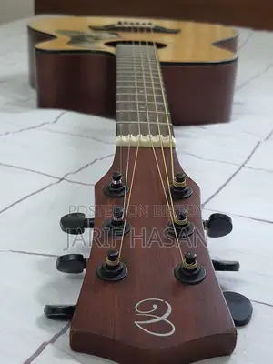 Chard Brand Guitar