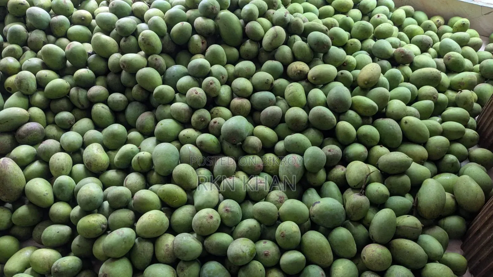 অরগ্যানিক হিম সাগর আম