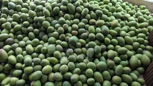অরগ্যানিক হিম সাগর আম