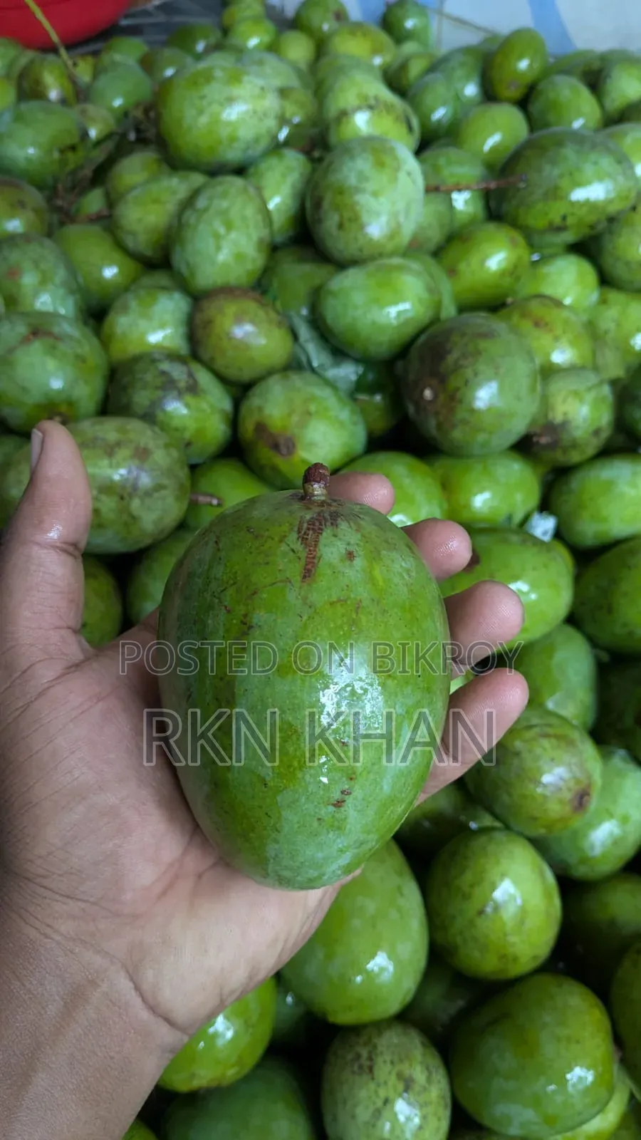 অরগ্যানিক হিম সাগর আম