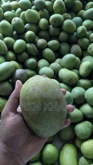 অরগ্যানিক হিম সাগর আম