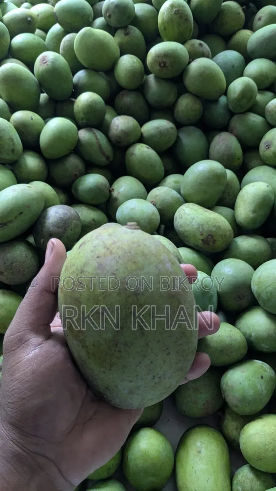 অরগ্যানিক হিম সাগর আম