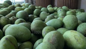 অরগ্যানিক হিম সাগর আম