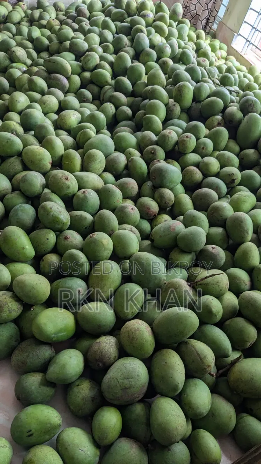 অরগ্যানিক হিম সাগর আম