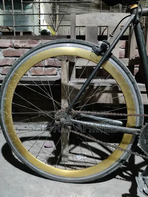 Best Cycle